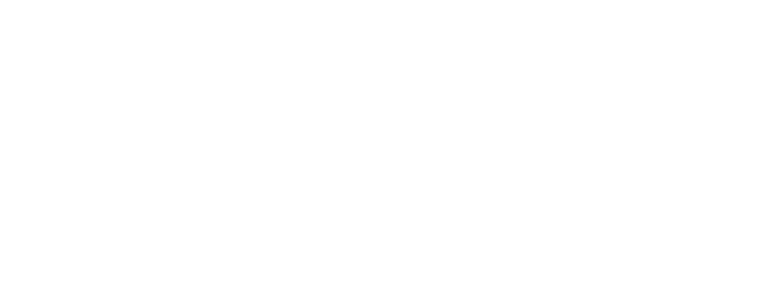 Logo Opzet